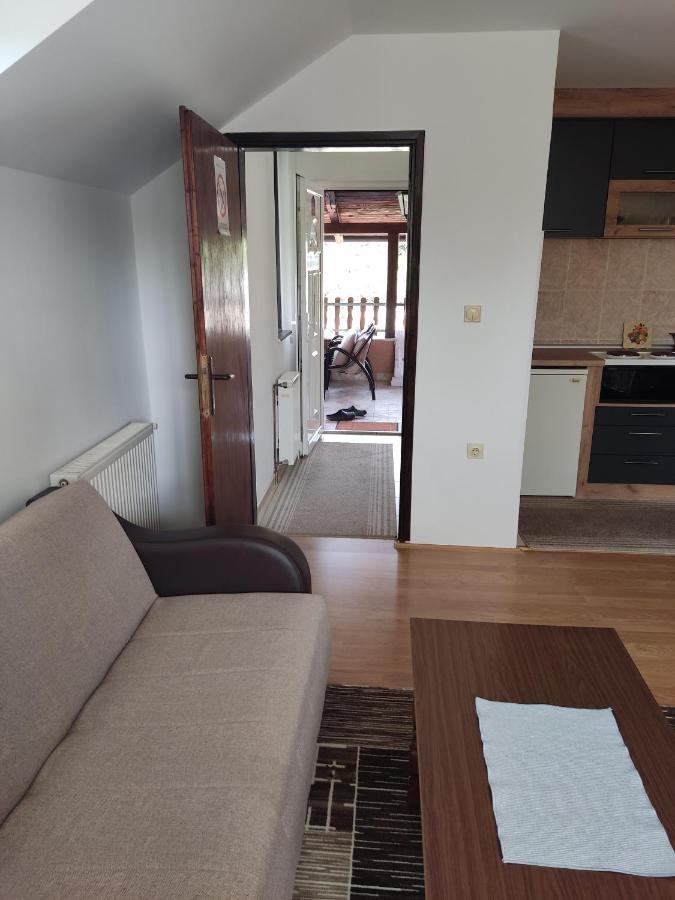 Apartmani Aleksijevic Zlatibor Esterno foto