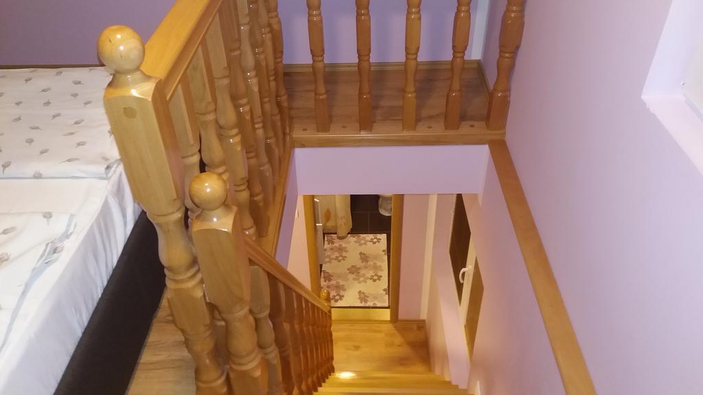 Apartmani Aleksijevic Zlatibor Esterno foto