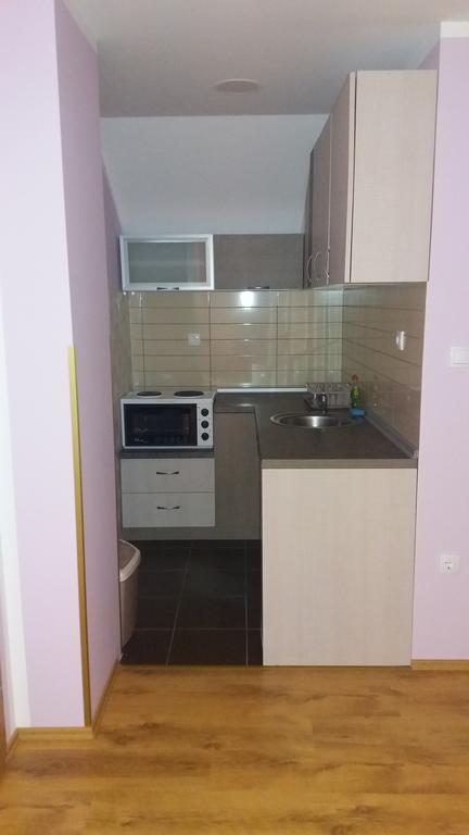 Apartmani Aleksijevic Zlatibor Esterno foto