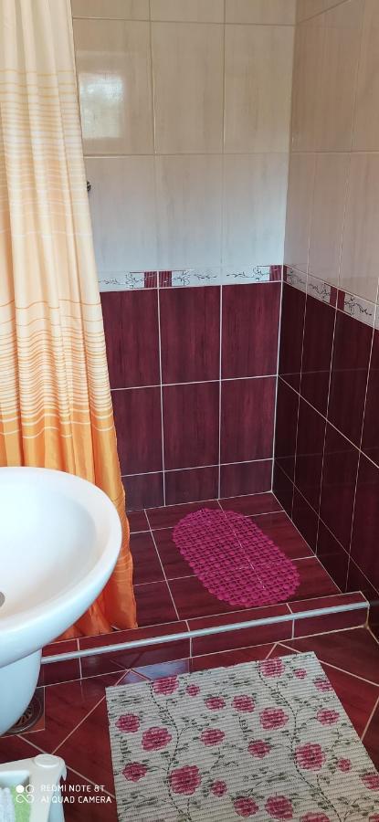 Apartmani Aleksijevic Zlatibor Esterno foto