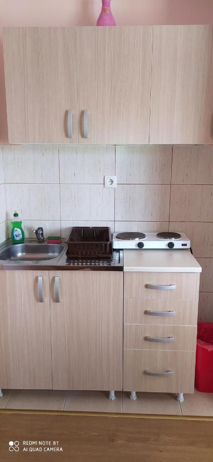Apartmani Aleksijevic Zlatibor Esterno foto