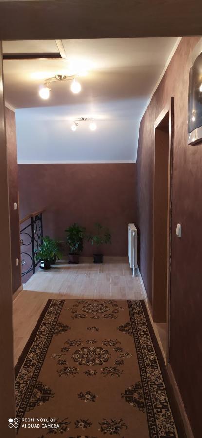 Apartmani Aleksijevic Zlatibor Esterno foto