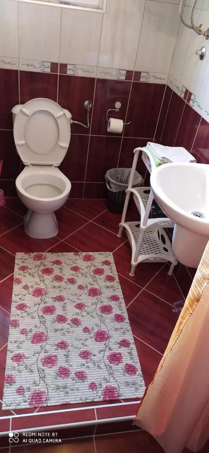 Apartmani Aleksijevic Zlatibor Esterno foto