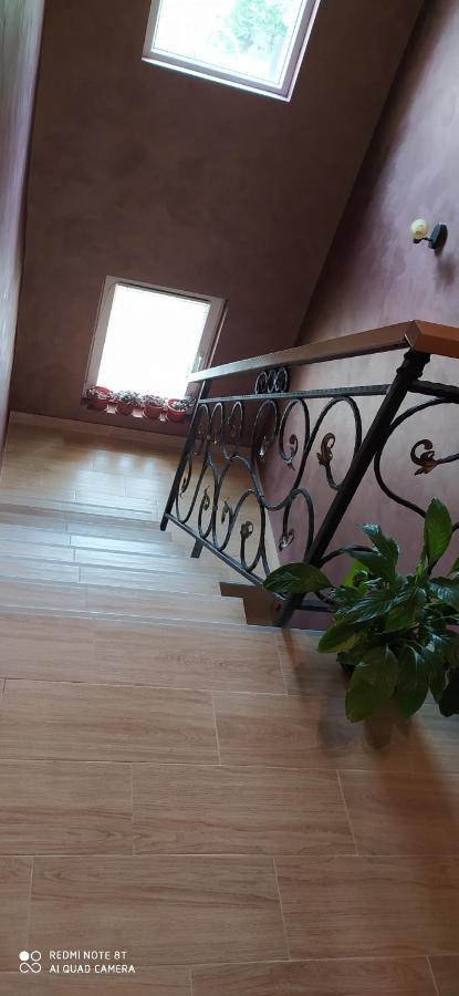 Apartmani Aleksijevic Zlatibor Esterno foto