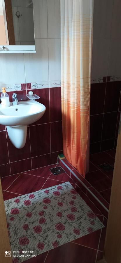 Apartmani Aleksijevic Zlatibor Esterno foto